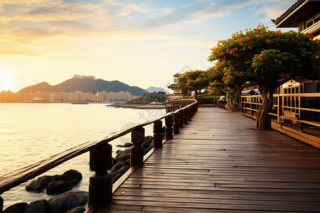 夏季海港城市的美丽景观图片