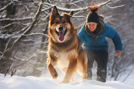 雪山中的牧羊犬的主人图片