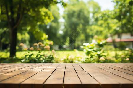 木板里的植物公园里的木质地板背景