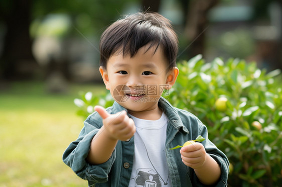 男孩手里拿着树叶图片