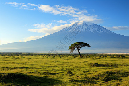 夏季肯尼亚的草原景观图片