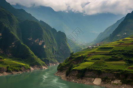 农村的地块和河流图片