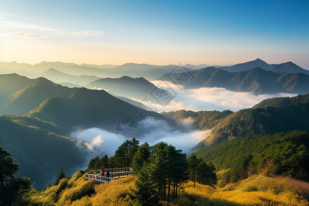 户外秀丽的风景图片