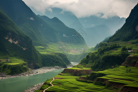 山谷中的地块和河流图片