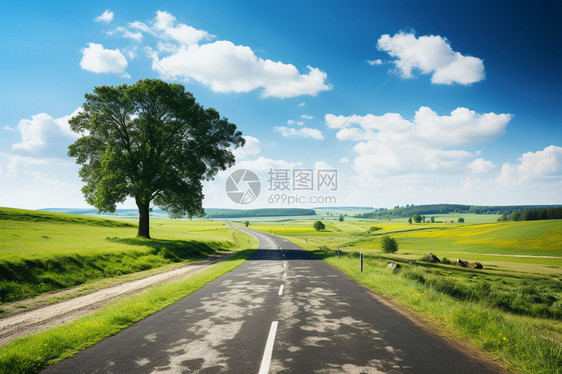 户外的沥青道路图片