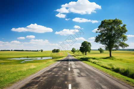 户外的汽车道路图片