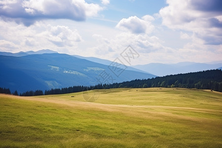 自然壮阔的丘陵背景图片