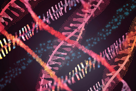 拼接重组的基因序列图片