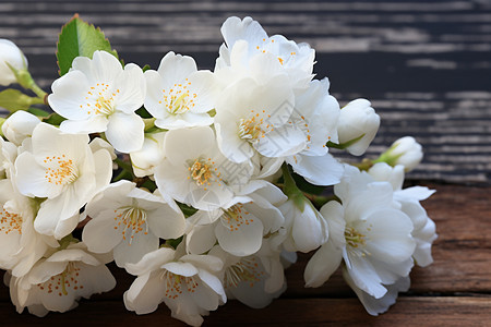 洁白的花卉背景图片