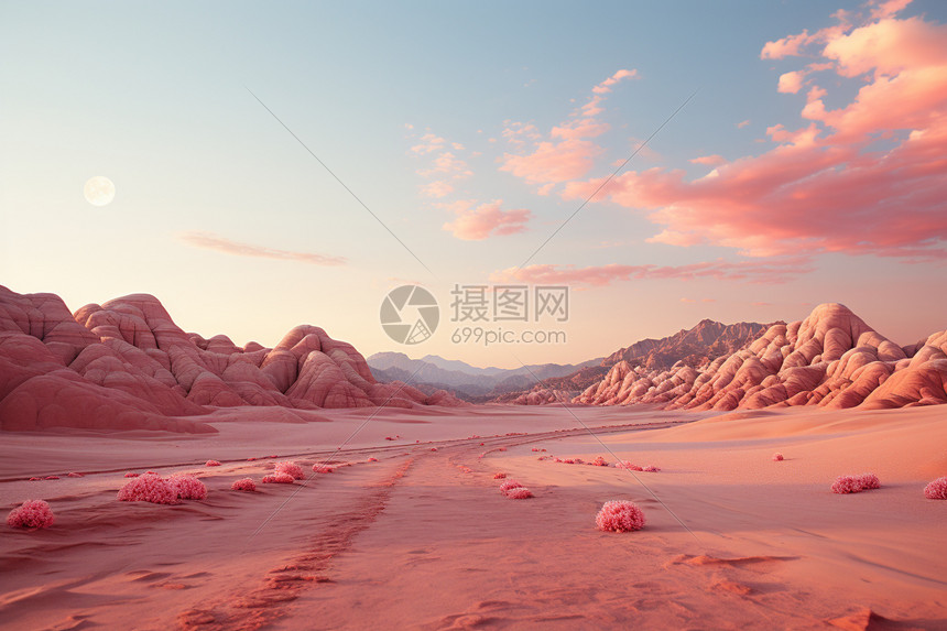 沙漠世界地貌风光图片