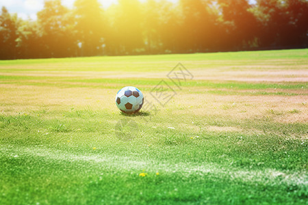 草地上的一颗足球图片