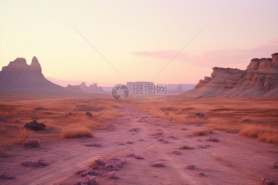 粉红色调的沙漠图片