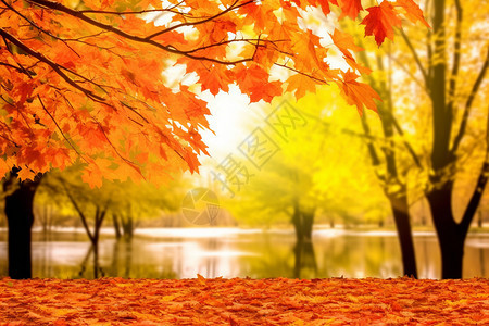 秋天自然景观背景图片