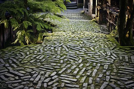 乡村古老建筑的青苔道路图片