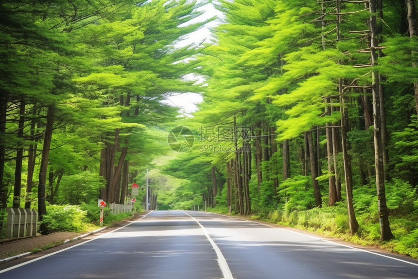 初夏道路图片