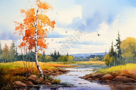 秋天森林的绘画图片