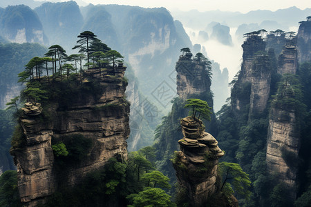 美丽壮观的山谷景观图片