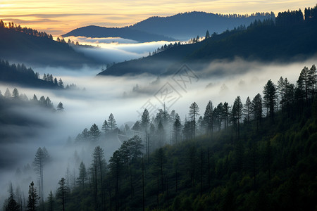 日出山间迷雾笼罩的美丽景观图片