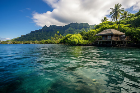 绿波廊绿波荡漾的湖面背景