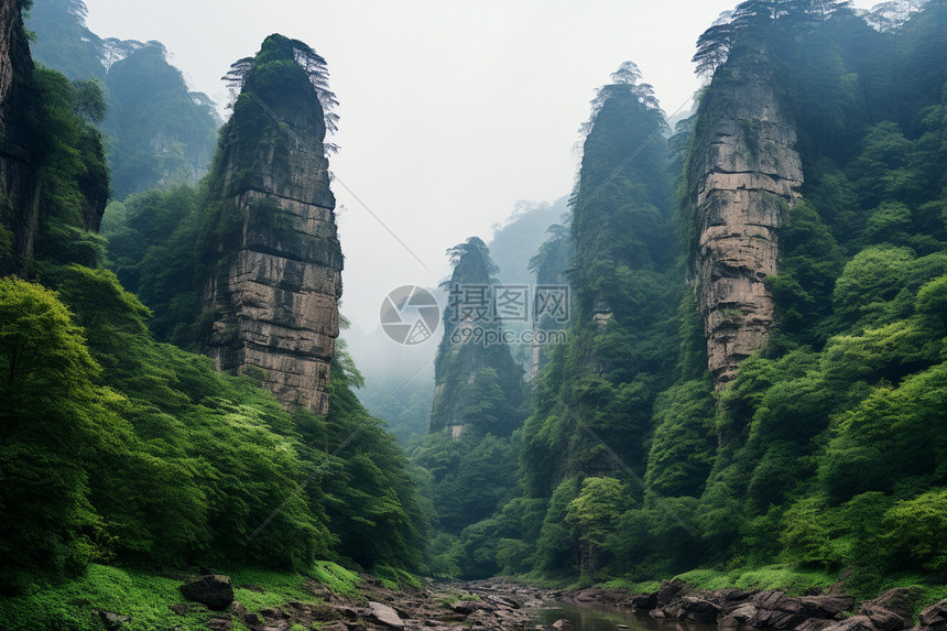 尖石峰上的绿植图片