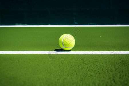 一个网球图片