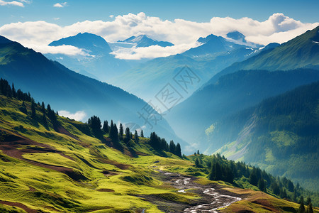 夏季山脉的美丽景观图片