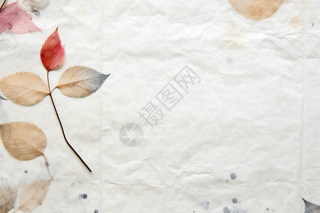 纸上的秋叶与红花背景图片