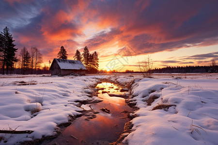 冬季白雪覆盖的田野景观图片