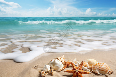 贝壳风铃热带海滩上的贝壳背景