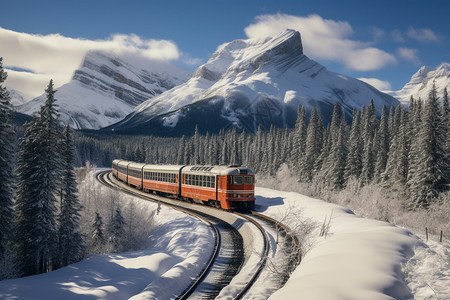 冬日森林中行驶的火车图片