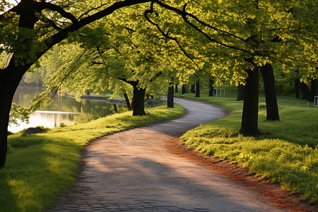 夏季乡村道路的美丽景观图片