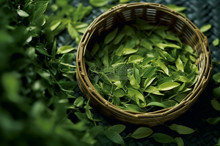 高清茶叶特写高清图片下载-正版图片600468440-摄图网