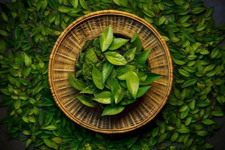 篮筐中的绿色茶叶背景图片