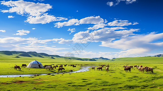 草原上的牧马景观背景图片