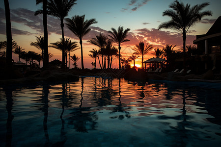 夕阳下游泳池中的倒影图片