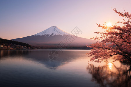 倒影下的富士山背景图片