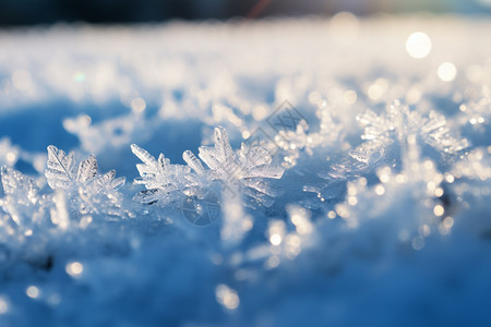 大雪养生冰晶上的阳光背景