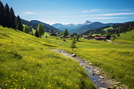 黄草山坡上的小村庄背景