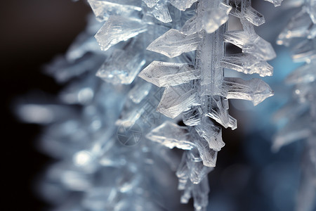 冬季雪晶的特写镜头图片