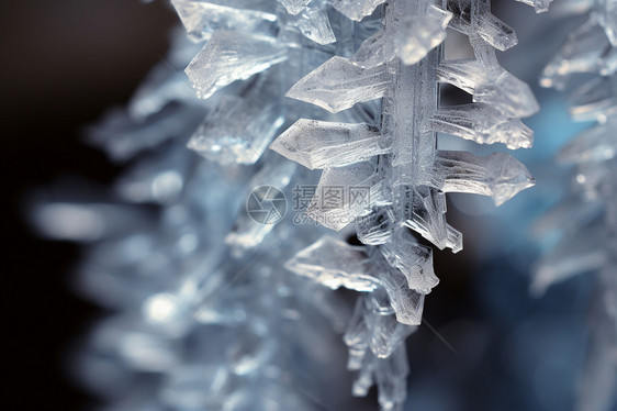 冬季雪晶的特写镜头图片