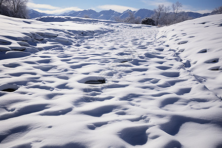 雪山中冰雪皑皑的山路图片