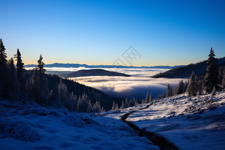 冬季森林山脉的美丽景观图片