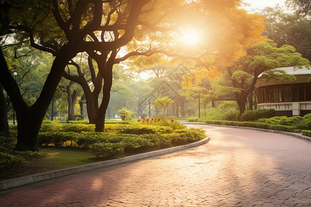 郁郁葱葱的夏季公园景观图片