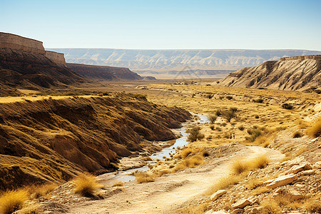 山脉背景下的沙漠图片