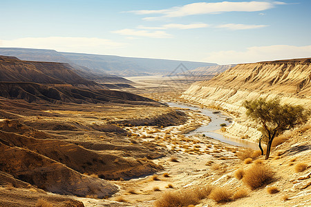 沙漠中的山脉图片