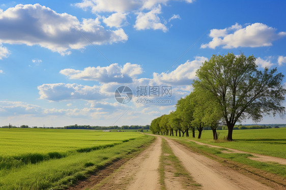 自然的乡村道路图片