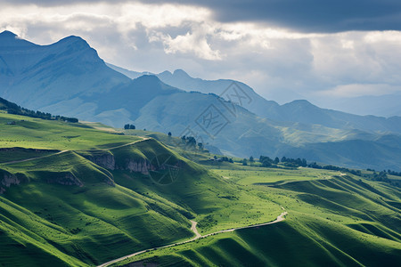 雄伟的夏季山丘景观图片