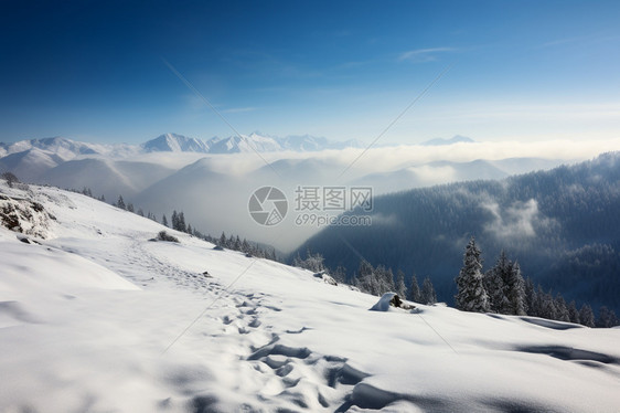 冰天雪地的风景图片