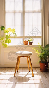 室内家居装饰的绿植盆栽背景图片