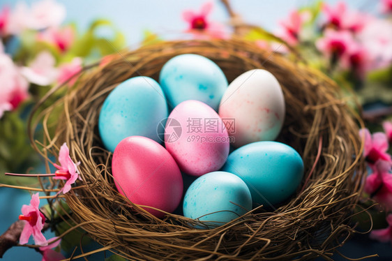 鸟巢中的复活节彩蛋图片